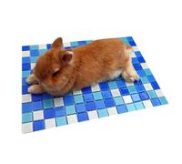 Hamster Cooling Mat - Chew-proof Lightweight Glass Mat - Hamster Cooling Bed, for Older Puppies on Hot Summer Days in the Car in the Box at Home in the Living Room Bedroom Outdoor for Playing and