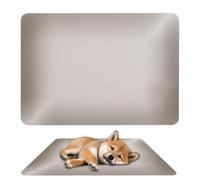 Hamster Cooling Pad | 19.6x11.8inch Aluminum Reusable Pet Cooler Plate | Heat Dissipation Plate, Hamster Chiller Cool Mat for Hot Weather, Home Comfort