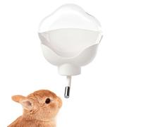 Hamster Drinking Bottle, Drip-Free, 500 ml, Leak-Proof, Transparent Rodent Drinker, Automatic Drinking Bottle, for the Hydration Routine of Small Animals in the Cage at Home or on the Go