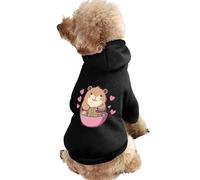 Hamster Eating Ramen Noodles Cute Dog And Cat Clothes Pet Hoodie Sweatshirt Pullover Sweater Coat
