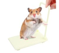 Hamster Enrichment Toys - Fun Decoration Cart Bed with Wheels,Hamster Accessories,for Rodents Children Play House Pet Photo Props