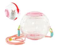 Hamster Exercise Ball Clear Portable Large Silent Running Toys