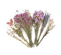 Hamster Floral Bedding | Natural Dried Flower Cage Decor Habitat Accessory With Random Spring Summer Fairy Tale Bouquets | Edible Landscape Bedding for Small Pet Cage Decoration