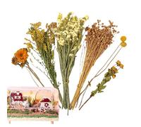 Hamster Flower Bedding | Natural Chinchilla Cage Decor,Chinchilla Habitat Decoration - for Hedgehog Bird Weddings Camping Themed Parties Christmas Easter Animal Lovers Playpen Activities