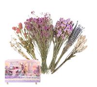Hamster Flower Bedding - Pet Flower Bedding | Habitat Enclosure Decorative Natural Hamster Bedding Flowers for Dwarf Natural Hamster Bedding, Naturally Dried Flowers and Plants, Hamster
