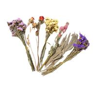Hamster Flower Litter - Natural Springmouse Cage Decoration Decorative Element | Ideal for Weddings, Camping Parties, Christmas, Easter Parties | Hamster Cage Accessories for Art, Clinics and Animal