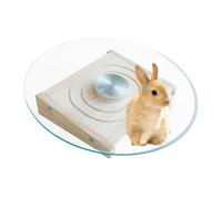 Hamster Flying Saucer - Small Animal Health Runner Silent,Houses & Habitats Supplies With Metal Bearings, Cage Saucer For Chinchillas, Guinea, Gerbil