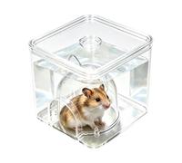 Hamster Ice House Transparent Cold Cave