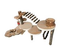 Hamster ladder toy provides a safe and exciting space to climb into the swing and explore the platform of the owl monga, ladder with stairs