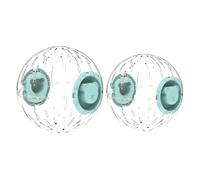 Hamster Running Ball Toy | Comfortable Stress Relief Hamster Ball | Transparent Spacious Space Pet Wheel for Home Living Room Kitchen