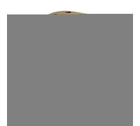 Hamster Sand Box - Transparent Gerbil Shelter for Pets, Hamster Bath Tub with Enrichment Features, Wood Material, Safe Play, Cage Toy, Pet Accessory for Cage Enrichment, Playpen