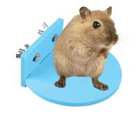 Hamster Stand for Cage, Hamster Cage Station | Hamster Enrichment,Non-Slip Toy Habitat Supplies for Chinchilla Small Animal Play Area pa