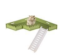 Hamster Support | Safe PVC Gym with Ladder - Animal Toy for Physical and Mental Health of Gerbils, Hamst, Hamst, Tamias, Hedgehogs, Squirrels Exbert