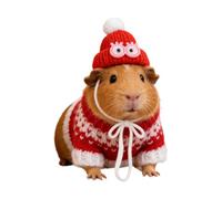 Hamster Sweater - Knitted Sweater and Hat Set for Small Pets - Cotton Linen | Comfortable Hooded Outfits 10x5.5cm Warm Breathable Clothes for Hamsters, Rabbits and Hedgehogs