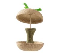 Hamster Teething Toys - Chew Toys, Fruity Sticks | Natural Graving Accessories, Helps Teeth Wear with Edible Wood During Playing Moments or Cag Training