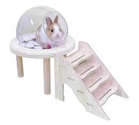 Hamster Toilet Bowl, Sand Container for Small Pets such as Hamsters | Clear Hamster Toilet with Ladder | Suitable for Gerbils, Rabbits, Hedgehogs, Use in the Cage, Care and Digging