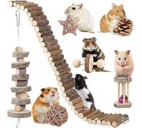 Hamster Toy Hamster Accessories Guinea Pig Chew Toy Chinchilla Cage Accessories Long Ladder Bridge Willow Ball Play Set for Dwarf Syrian Chinchillas Gerbils Mice Mouse