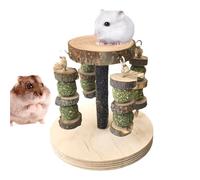 Hamster Toys - Wooden Natural Teething Treats | Hamster Cage Accessories,for Teeth Grinding Small Animals Mice Gerbil Chinchilla Indoor Home