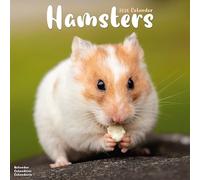 Hamsters 2026 Calendar | Square Wall Calendar | Animal Gift | Plastic Free Packaging | by Avonside Publishing