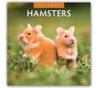Hamsters 2026 Square Wall Calendar
