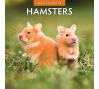 Hamsters - 2026 Square Wall Calendar - by Red Robin Publishing
