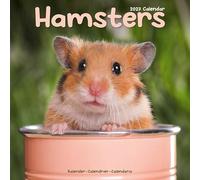Hamsters 2027 Calendar | Square Wall Calendar | Animal Gift | Plastic Free Packaging | by Avonside Publishing