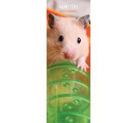 Hamsters 2027 Slim Calendar