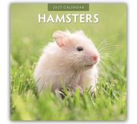 Hamsters 2027 Square Wall Calendar: Original Red Robin Publishing Ltd-Kalender [Mehrsprachig] [Kalender]