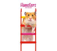 Hamsters Slim 2026 Calendar | Slimline Wall Calendar | Animal Gift | Plastic Free Packaging | by Avonside Publishing