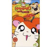 Hamtaro