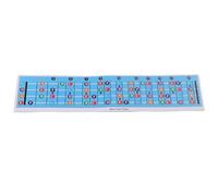 Hamwesh 4 String Bass Fretboard Note Chart, Bright Color Coded System Bass Guitar Scales Chart, Guitar Notes on Fretboard with Simple Setup for Beginners and Players