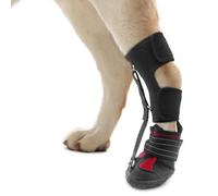 Hamwesh Dog Strap On Drop Foot Brace, Abrasion Proof Dog Boot Leg Brace, Corrective Shoes to Safely Lift Toes for Foot Issues, Arthritis, and Improving Walking Gait in Dogs (L)