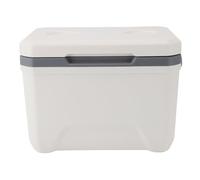 Hamwesh Insulated Cooler, Lightweight Hard Cover Cooler with High Density PU Foam Insulation, 6L Capacity for Outdoor Camping BBQ Picnic Vehicle Use