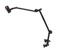 Hamwesh Microphone Boom Arm, 360° Rotatable 3.3lb Capacity Desk Mount Mic Stand, Foldable Low Mic Arm with Universal 3 8 Inch 5 8 Inch Interface for Podcast Gaming Studio