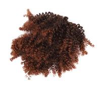 Hamwesh Ponytail Extension, Heat Resistant Synthetic Curly Ponytail Extension, Drawstring with Elastic Drawstring and Two Combs for Women Daily Use Versatile Style