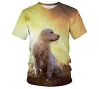 HAN MAN XIU Summer cute animal golden hair pattern 3D printed T-shirt men women casual loose round neck short sleeve tops