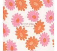 Hana Hana - Foot Print-Works 2000-2003