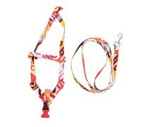 HANABASS 1 Set Dog Harness Set with Leash for Small Dogs Lightweight and Durable Non Skid Design for Easy Control During Walks for Outdoor Activities