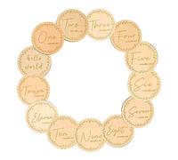 HANABASS 13Pcs Milestone Cards Round Wooden Growth Markers for Newborn Photography Smooth Skin Friendly Design for for Capturing Special Moments