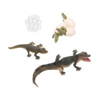 HANABASS 1Set Growth Model Educational Realistic Life Cycle Figures Early Education Prop for Birthday Christmas Explore Nature Safely