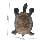 HANABASS 1Set Tortoise Growth Cycle Models Realistic Animal Evolution Educational Early Learning Cognitive Plaything Fine Workmanship for and
