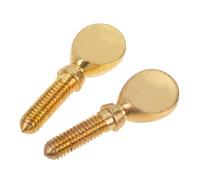 HANABASS 2pcs Copper Flute Head Screws Metal Replacement Parts for Flute Repair Practical Supplies for Wind Instruments and Music Accessories