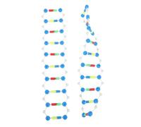 HANABASS 2pcs Dna Double Helix Molecular Model Kit for Students Educational Teaching Tool Biology Genetics Structure Components for School and Laboratory Use