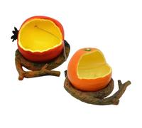 HANABASS 2pcs Fruit Shaped Bird Food Feeder Containers for Birdcage Practical Feeding Bowls for Parrots Canaries and Birds Washable Stable and Capacity Design