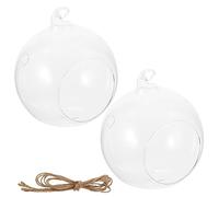 HANABASS 2pcs Hanging Glass Terrarium Planter 10cm Globe Design for Air Plants Wall Decor Micro Landscape Ecological Bottle