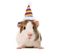 HANABASS 2pcs Pet Christmas Hat Adjustable Santa Claus Headwear for Rabbit Hamster Guinea Pig Chinchilla Hedgehog Squirrel Soft Breathable Xmas Party Photo Props