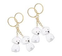 HANABASS 4pcs Pet Hair Souvenir Box Keychain Pet Hair Storage Pendant Dog Memorial Ornament Key Chain Urn Key Decor Urn Dog Bag Charm Abs Transparent