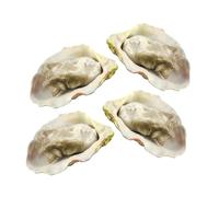 HANABASS 4Pcs Simulated Seafood Oysters Model Lifelike Props for Restaurant Display Educational Use and Photography Easy to Clean Portable Design for Home and Outdoor Events