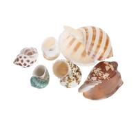 HANABASS 6pcs Natural Seashells for Aquarium Decor Ocean Themed Fish Tank Scenery Small Habitat Hides for Crabs and Underwater Landscaping Crafts