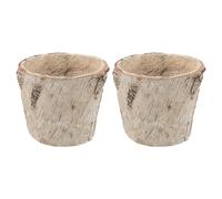 HANABASS Birch Bark Tree Stump Planters 2Pcs, Round Rustic Wood Flower Pots for Succulents and Herbs, Vintage Floral Pot Holders Suitable for Indoor Plants and Farmhouse Settings